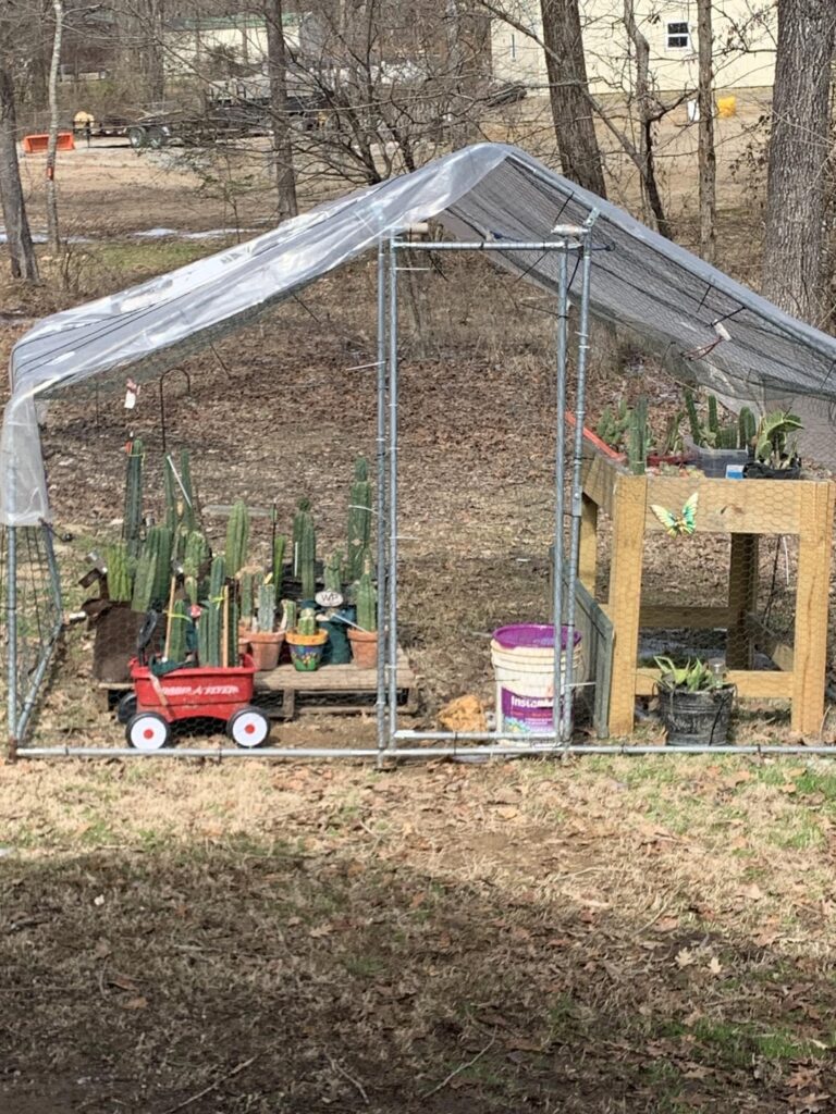 They are outside and loving it