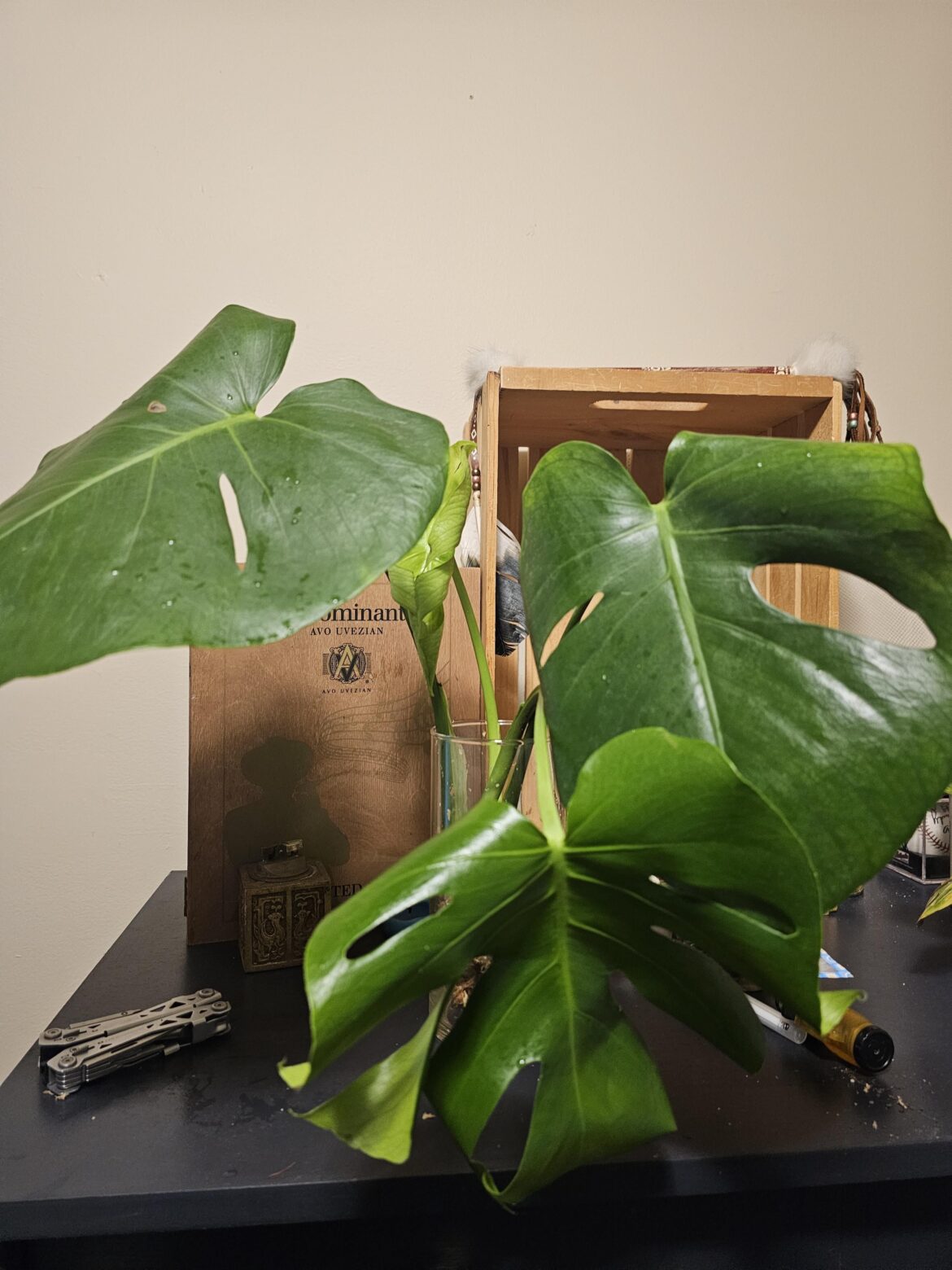 Lowes rescue