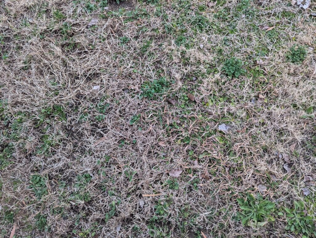 First time home buyer looking for help First time home buyer looking for help