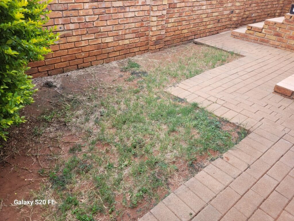 First time lawn owner help First time lawn owner help