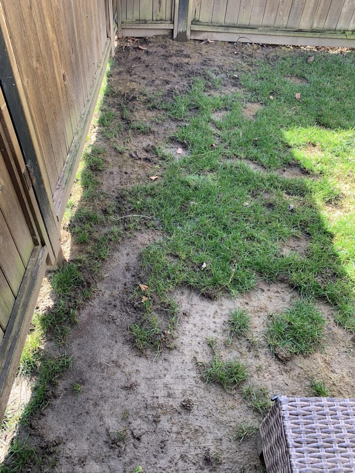 How do I fix my yard? How do I fix my yard?