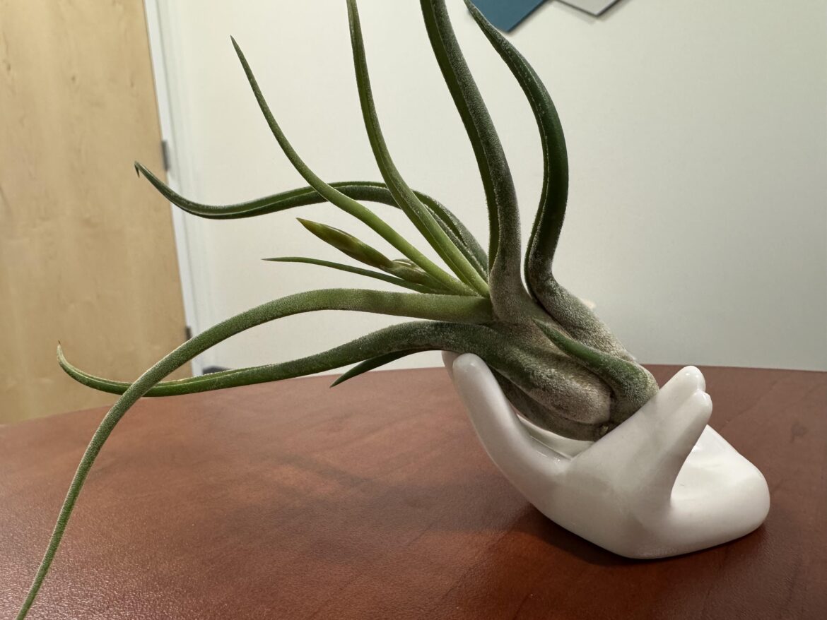 The suspense is killing me!