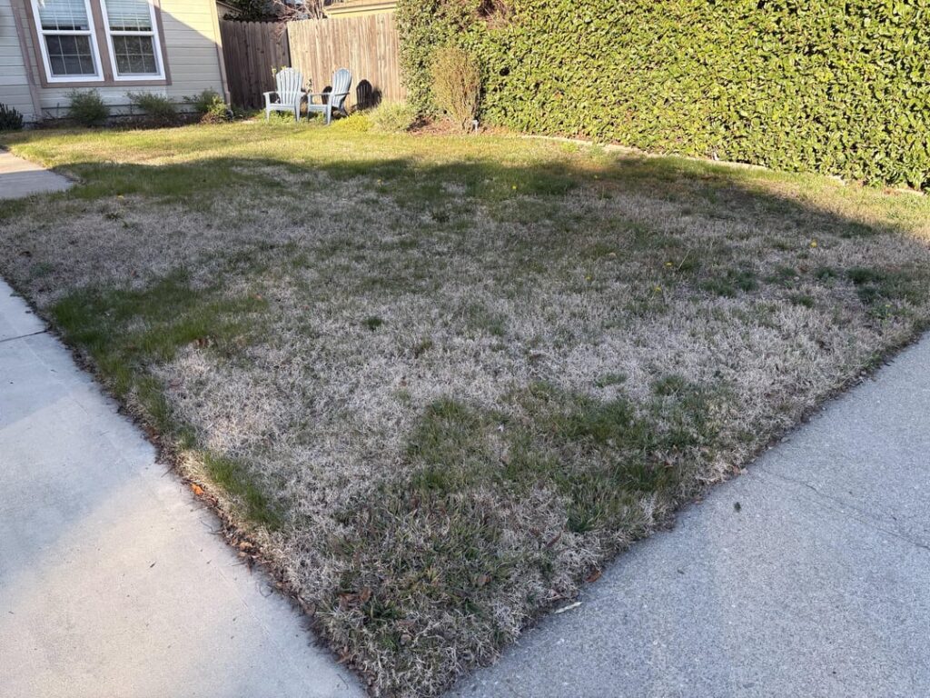 First time lawn owner. Where to start? First time lawn owner. Where to start?