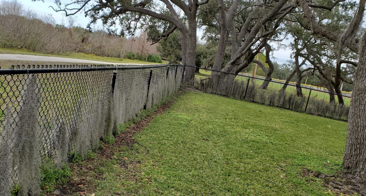 Moss Fence