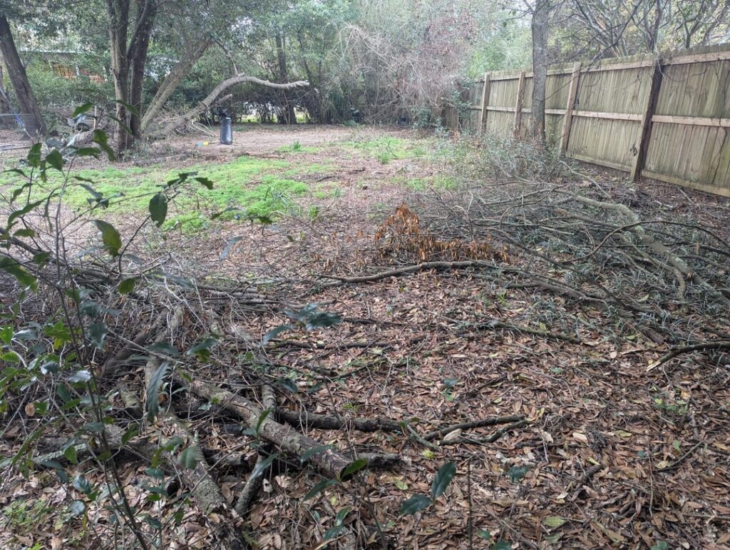 Need some backyard advice and tips. Need some backyard advice and tips.