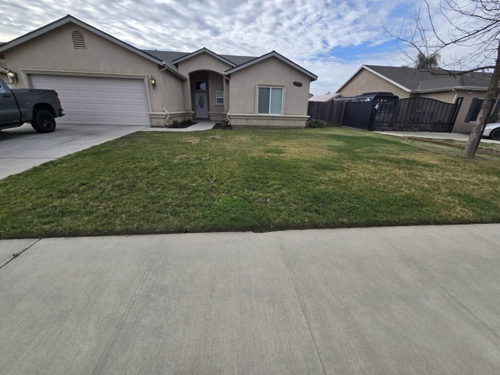 Lawn identification/care tips Lawn identification/care tips