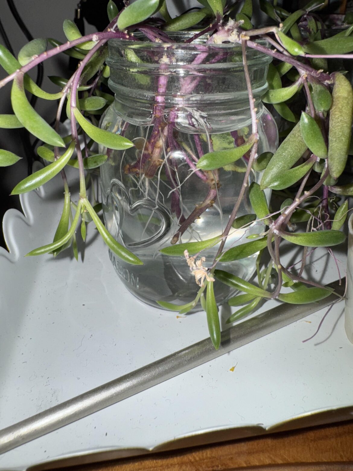 propagation nation!!!