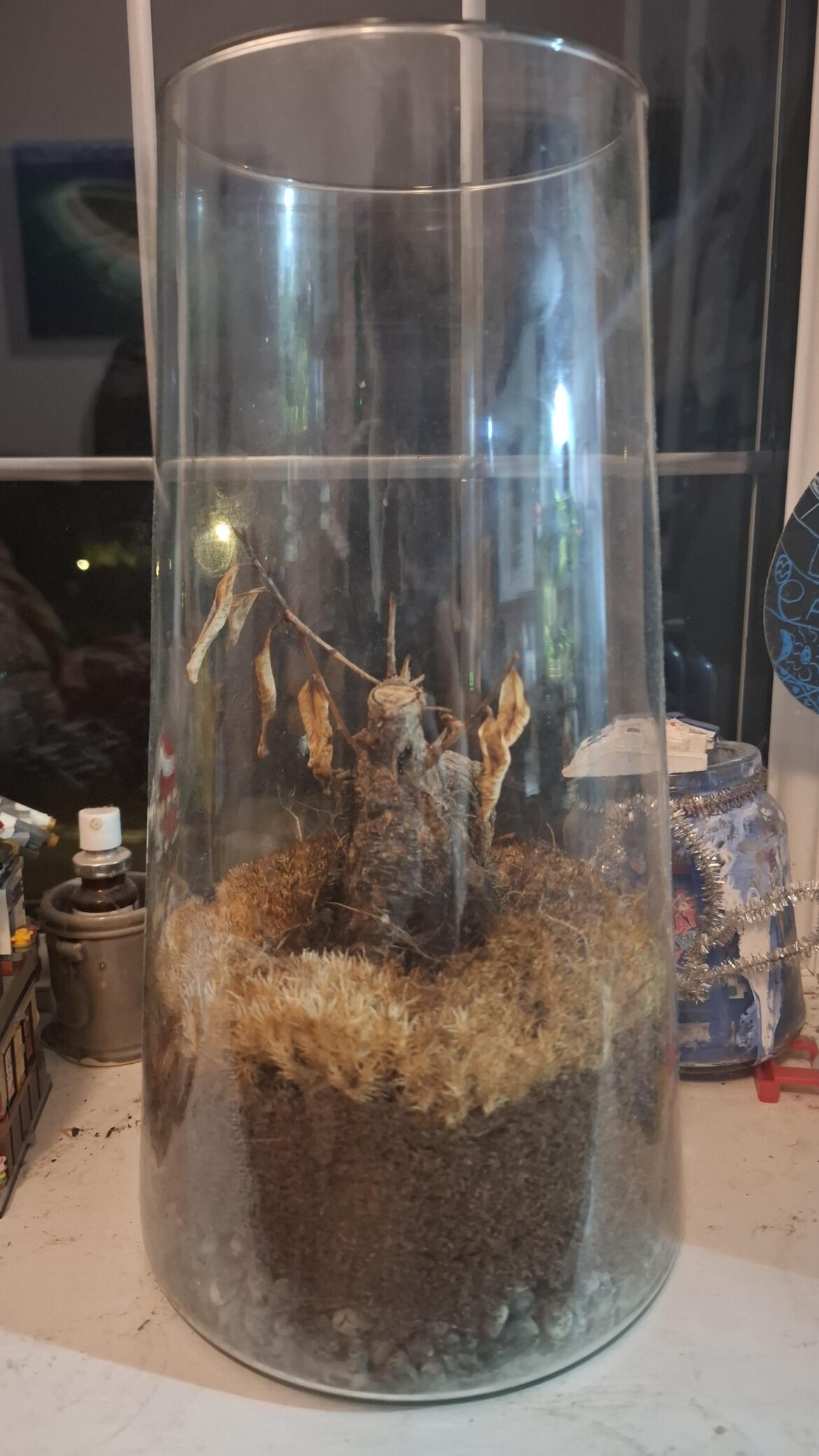 Any suggestions what I could put in this?
