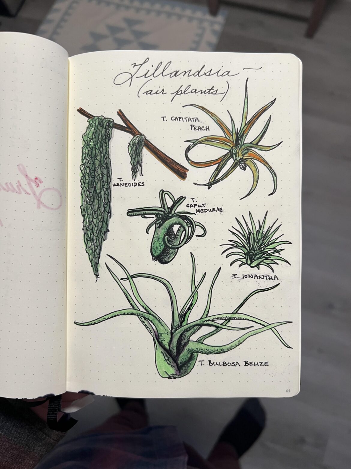 Know what you grow 😘