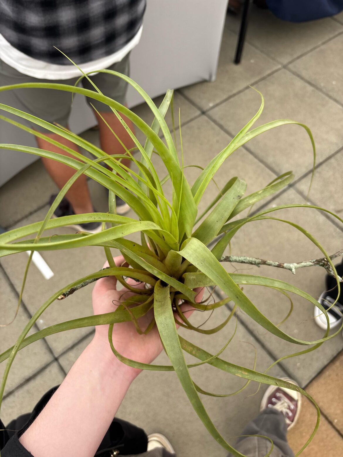 Tips for taking care of this one?