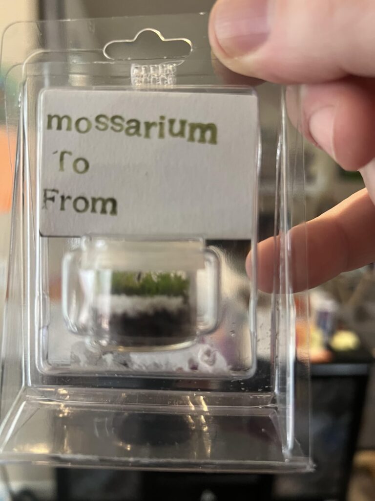 Recycled dab container and packaging mossariums