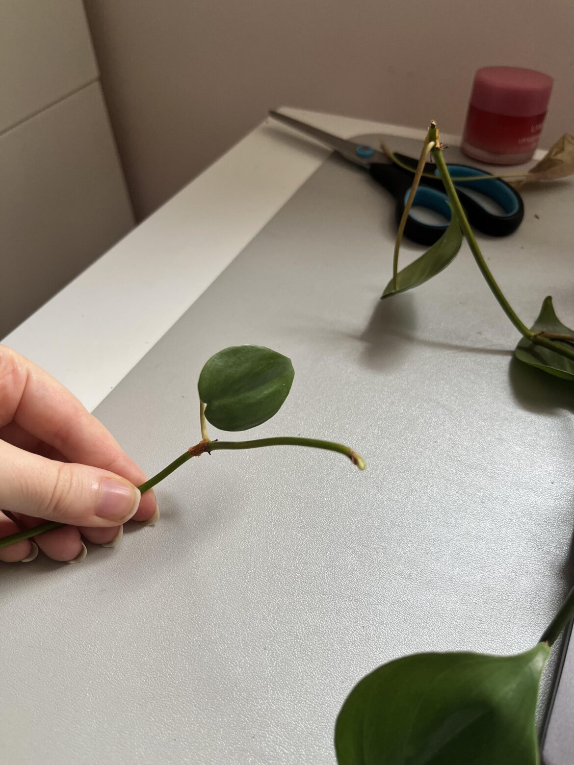 Had an accident, what do I do?