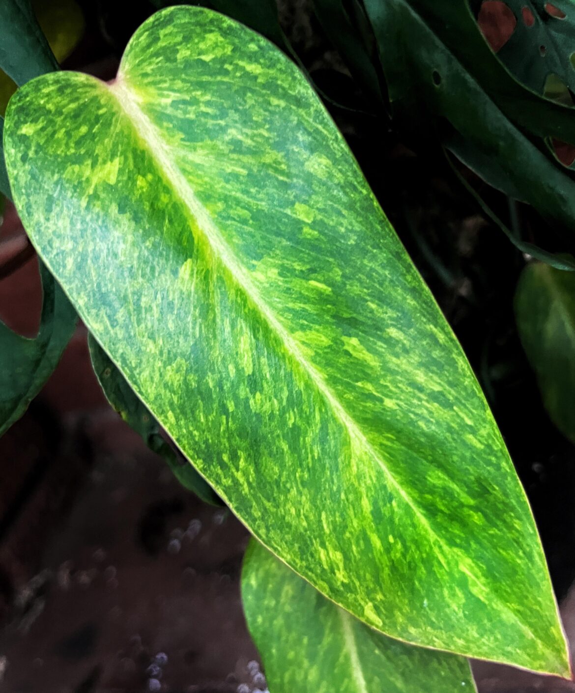 Pretty as a picture 👩🏼‍🎨