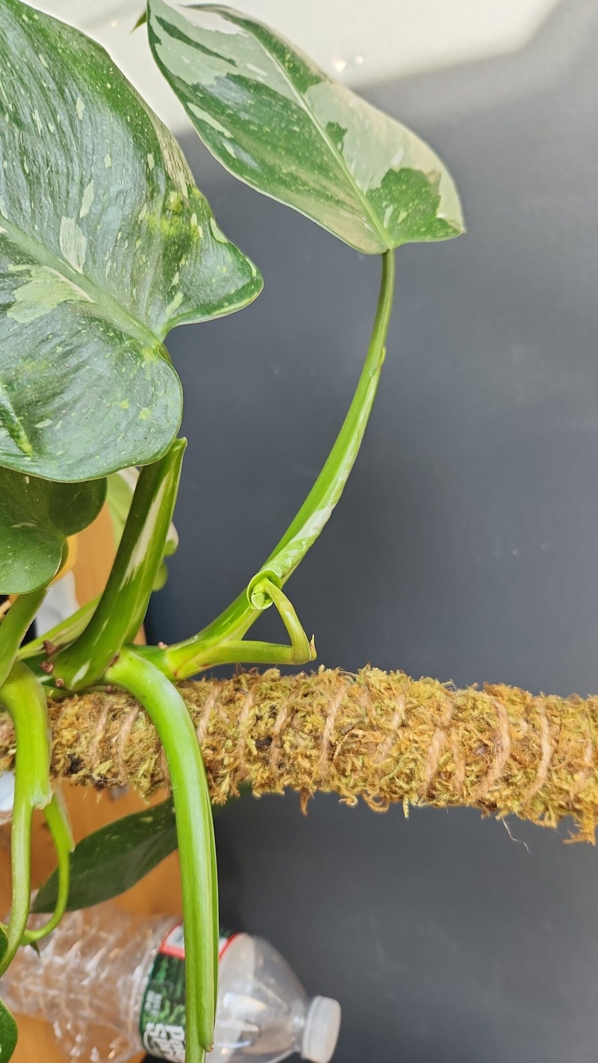 It's been a month and I am RAGING