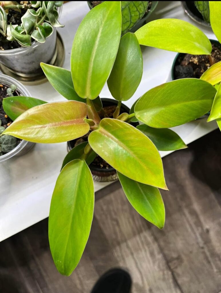 Does anyone know what this is? Does anyone know what this is?