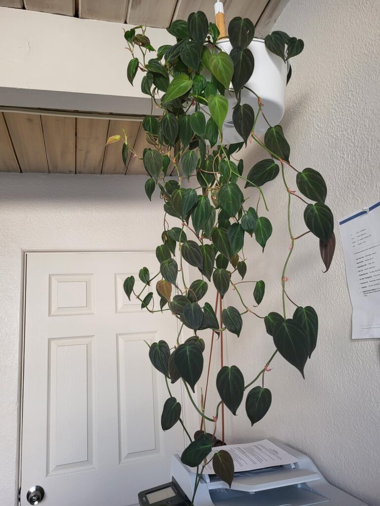 Micans doing her thang