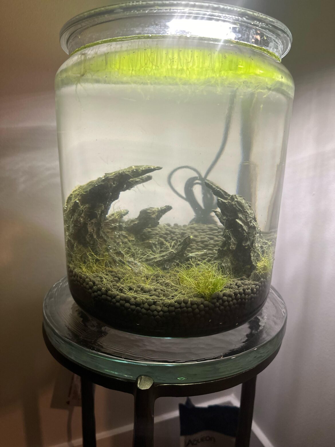 New Tank Problem