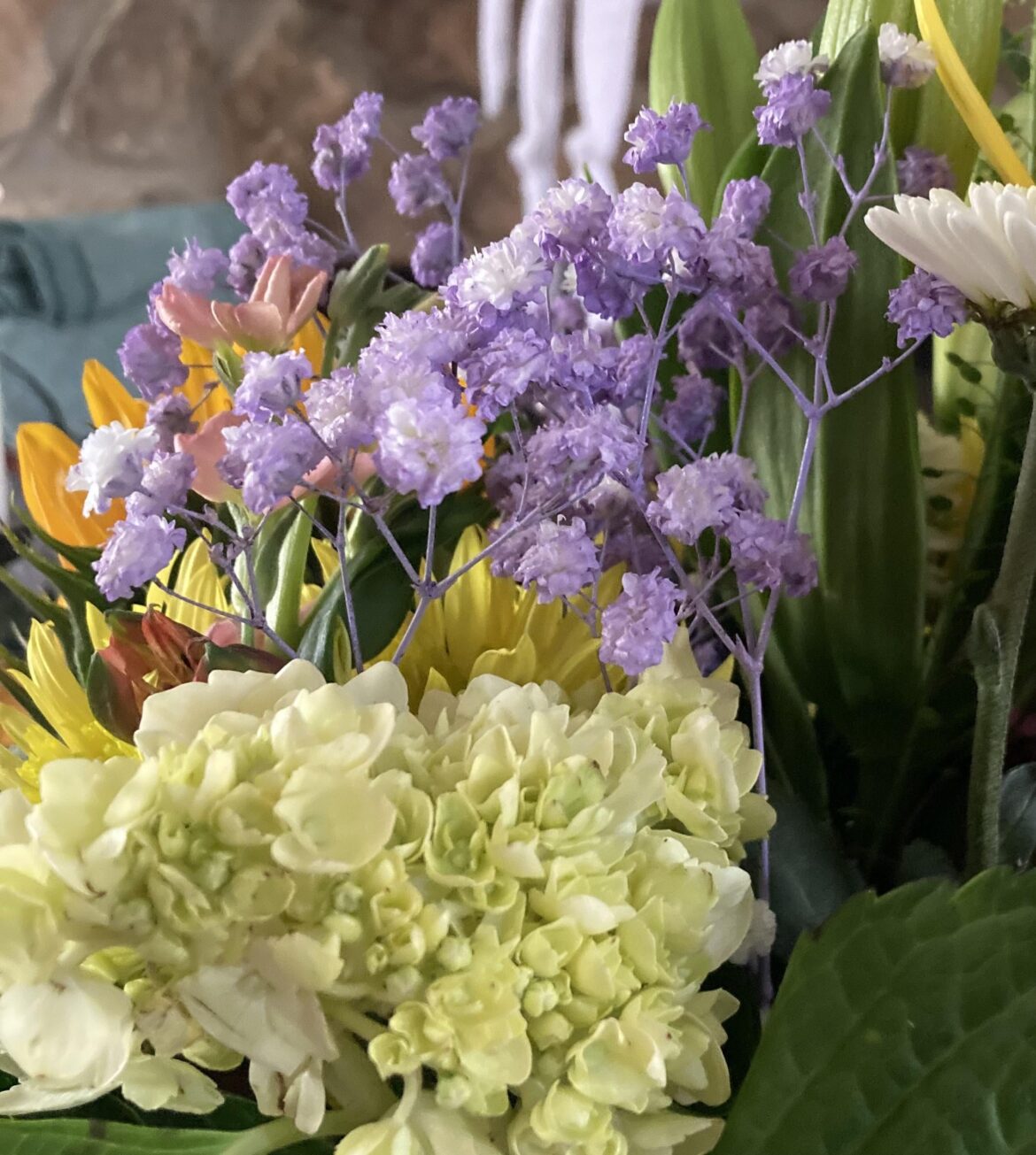 What is this purple flower? It has an interesting purple stem too!
