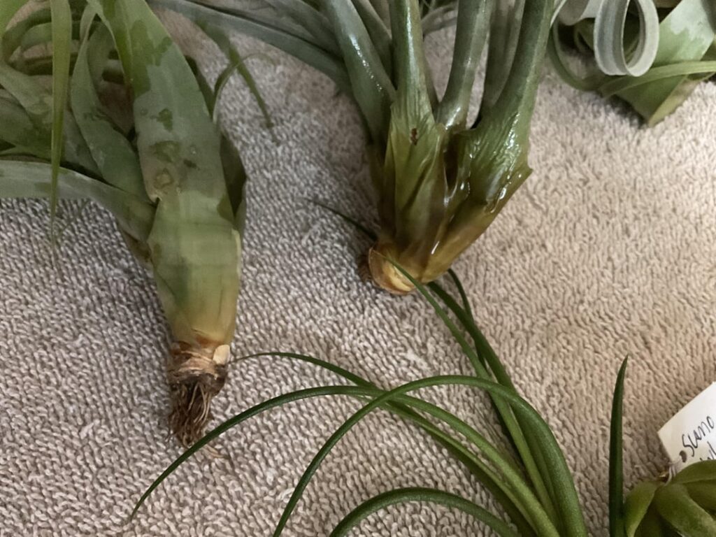 Do these look okay to you?