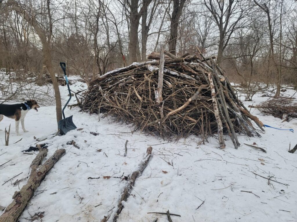 My burn pile is getting out of hand… (Cleaning up the aftermath of fighting honeysuckle and vines) My burn pile is getting out of hand... (Cleaning up the aftermath of fighting honeysuckle and vines)