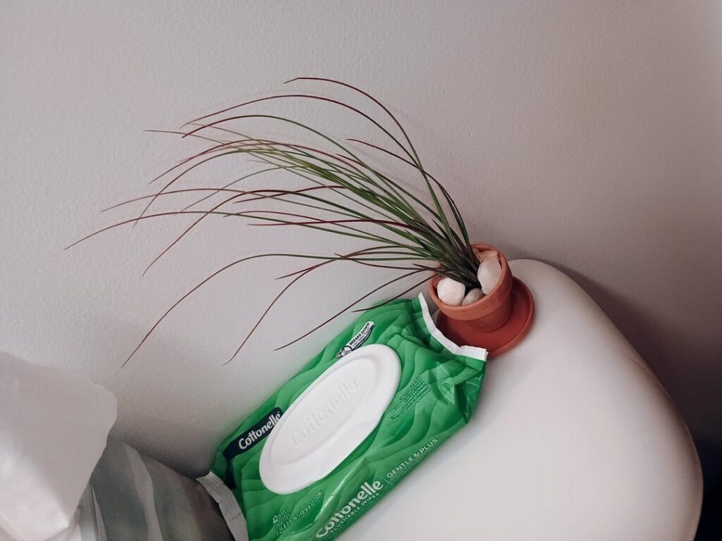 What is this thing and how tf is it thriving in a dark, windowless bathroom? What is this thing and how tf is it thriving in a dark, windowless bathroom?