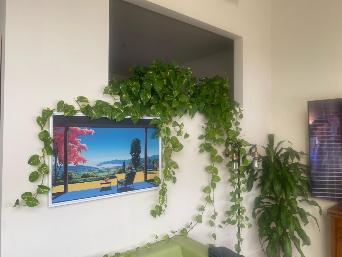 Twin Golden Pothos in my loft 🫶