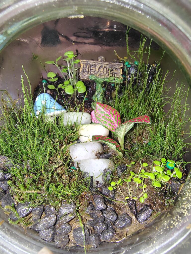 My Jar progress.