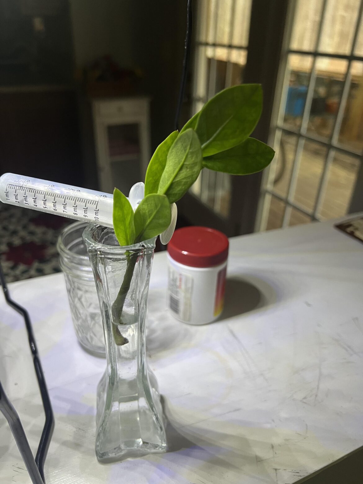 Zz (pretty sure) prop help