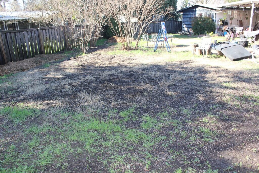 Lawn needs fresh start, open to all suggestions! Lawn needs fresh start, open to all suggestions!