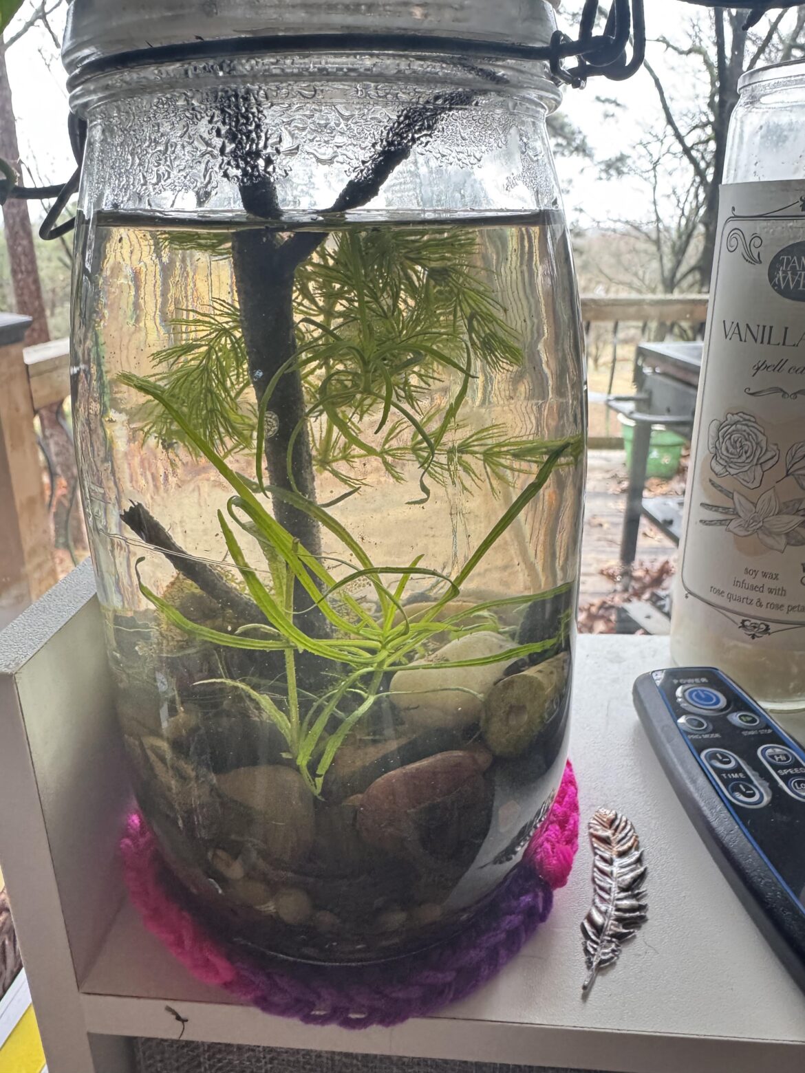 3 week update on my jar of life 3 week update on my jar of life