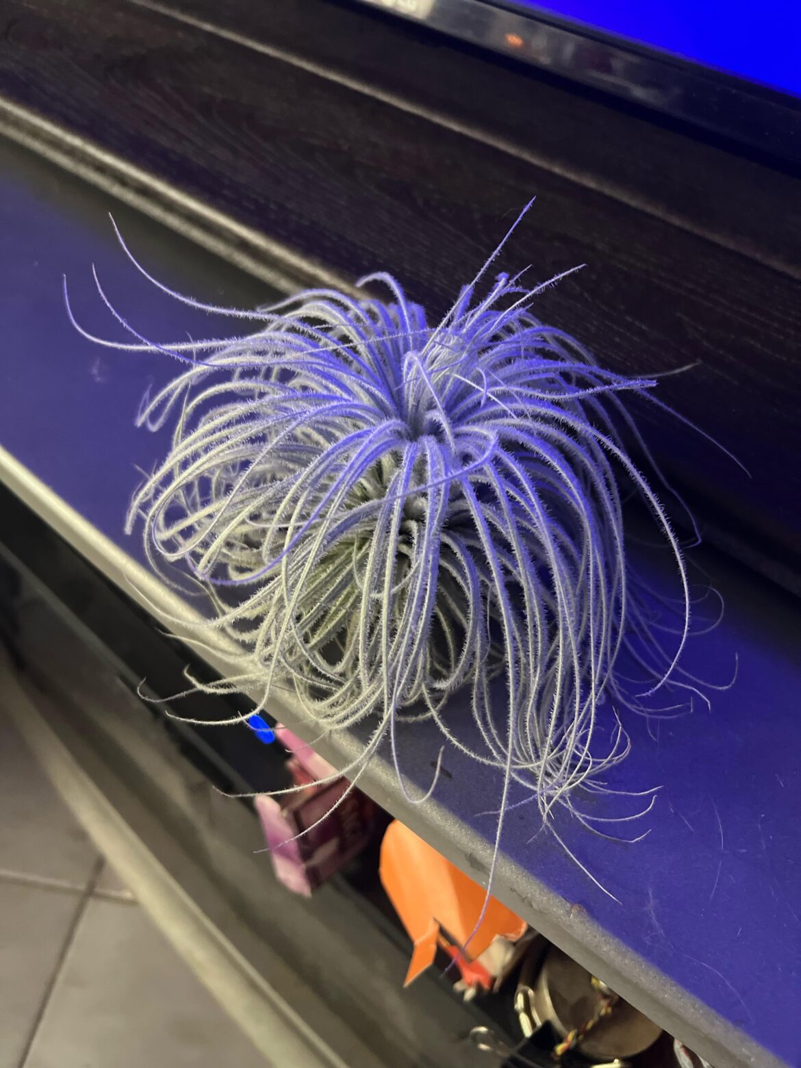 Look what just got here