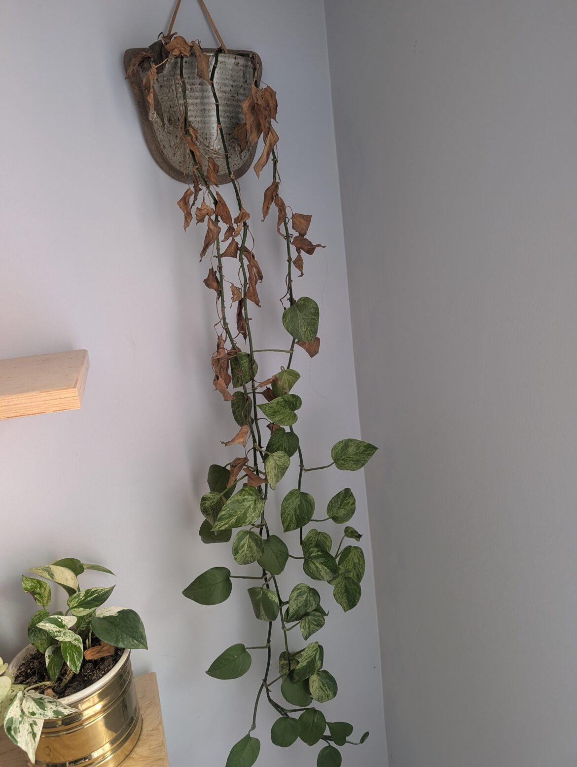 What does this mean?