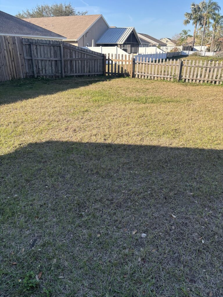 First time home owner