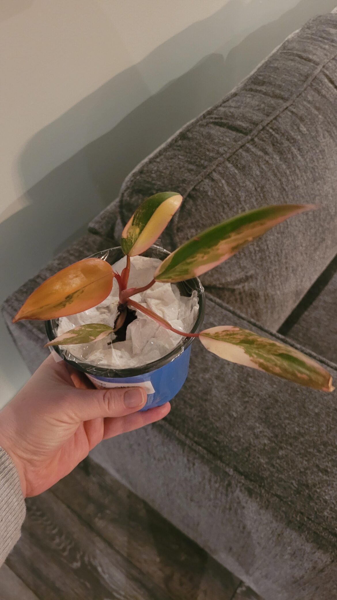 Just sharing my joy 😀 just bought a strawberry shake!