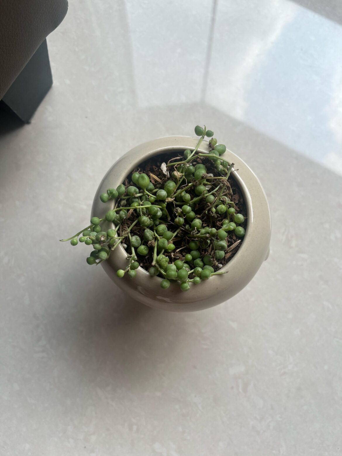 Help! Not sure what’s wrong.