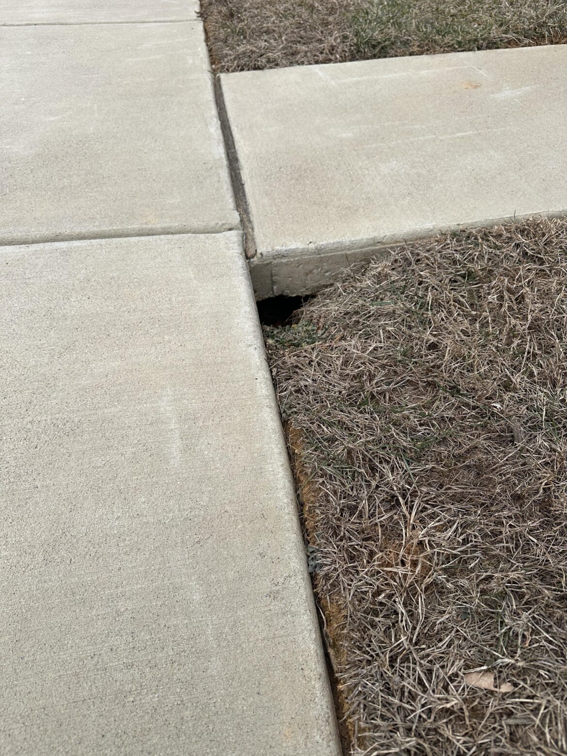 Hold in corner of sidewalk and grass Hold in corner of sidewalk and grass