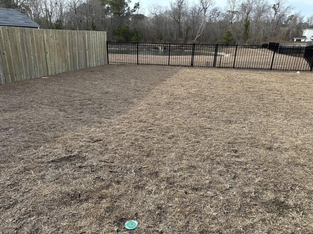 Need to rejuvenate my lawn before it gets beyond repair, centipede, NC Need to rejuvenate my lawn before it gets beyond repair, centipede, NC