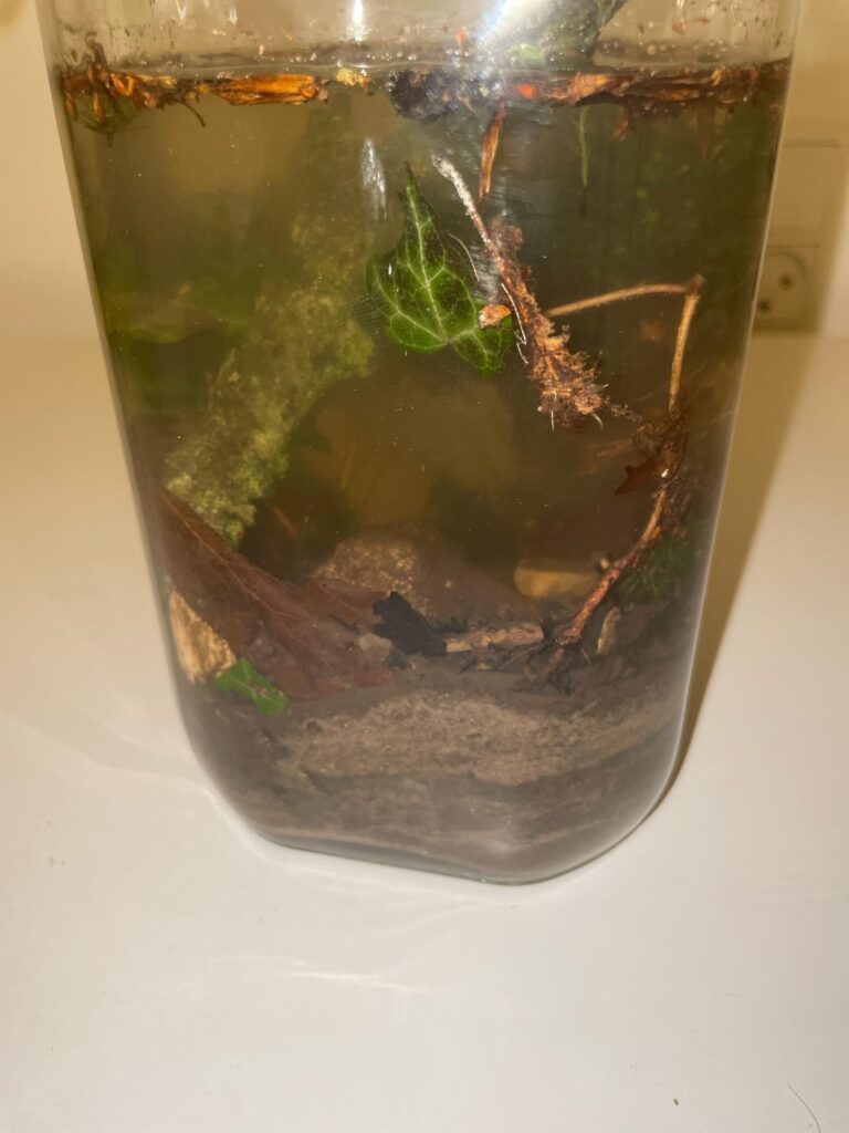 First ecosphere