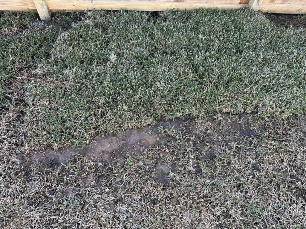 TX New build home – drainage issue? TX New build home - drainage issue?