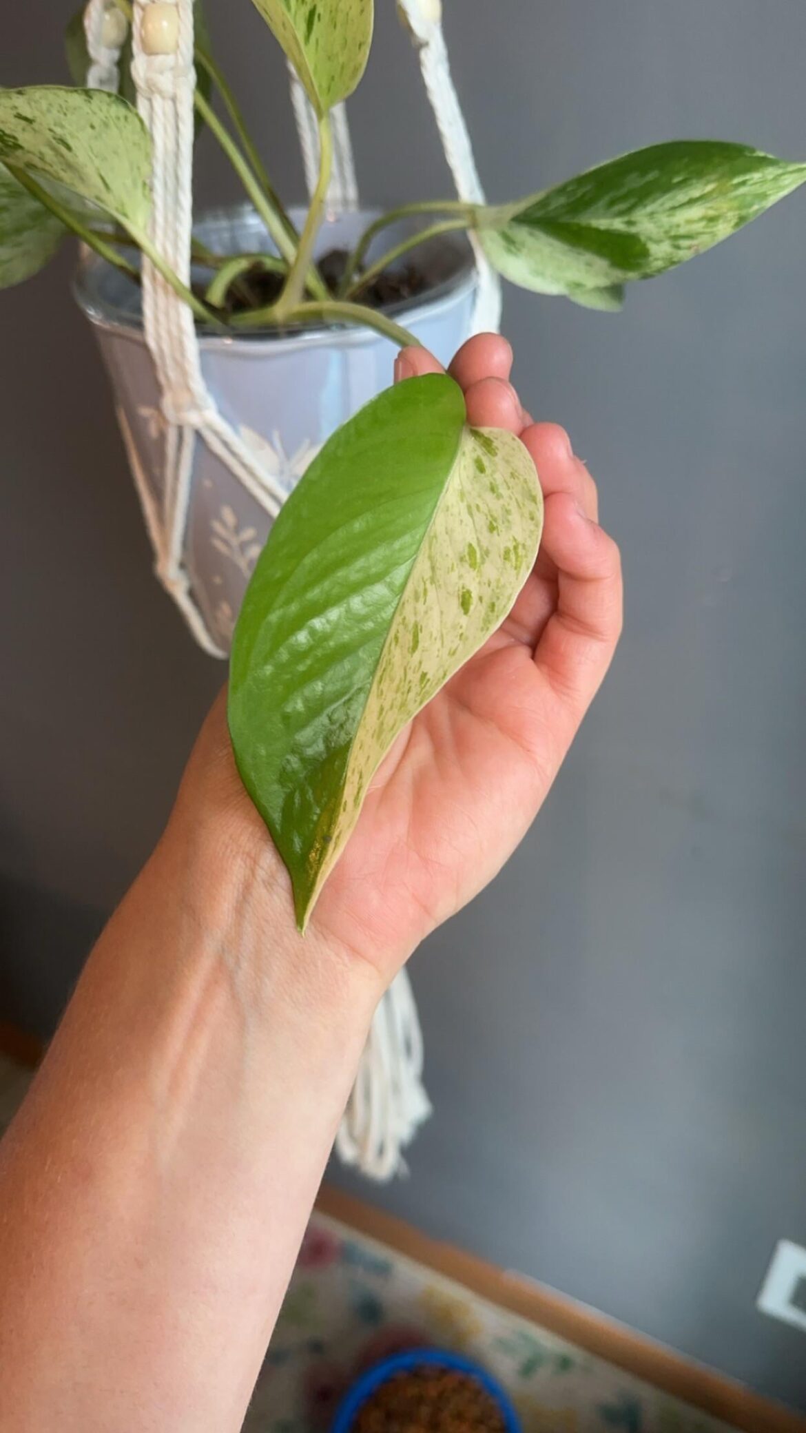 Just showing her beauty 😊