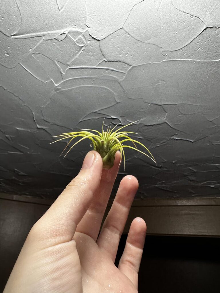 New friend + questions ! New friend + questions !