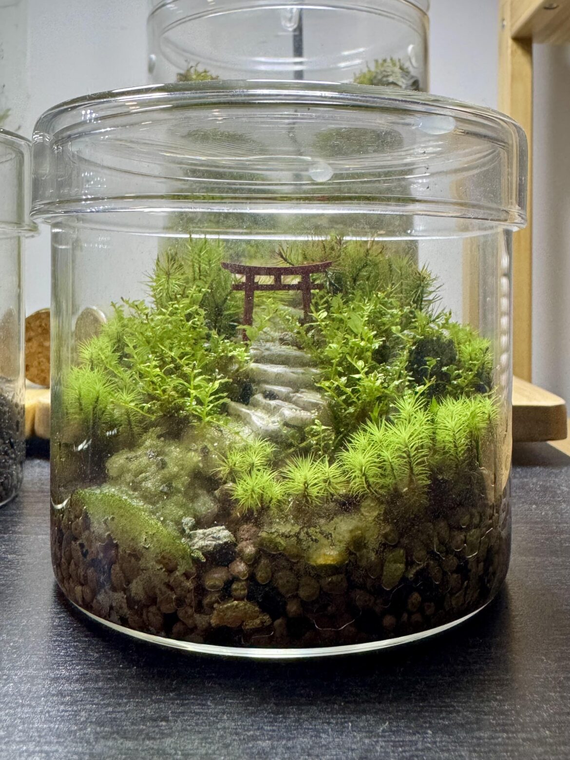 Tori - 6 months after setup