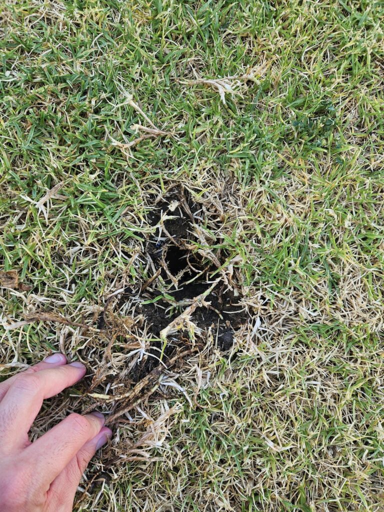 What’s making this hole? What's making this hole?