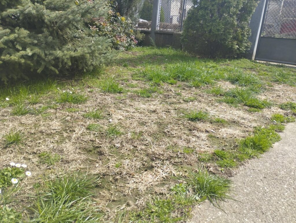 What could be the cause of this? What could be the cause of this?