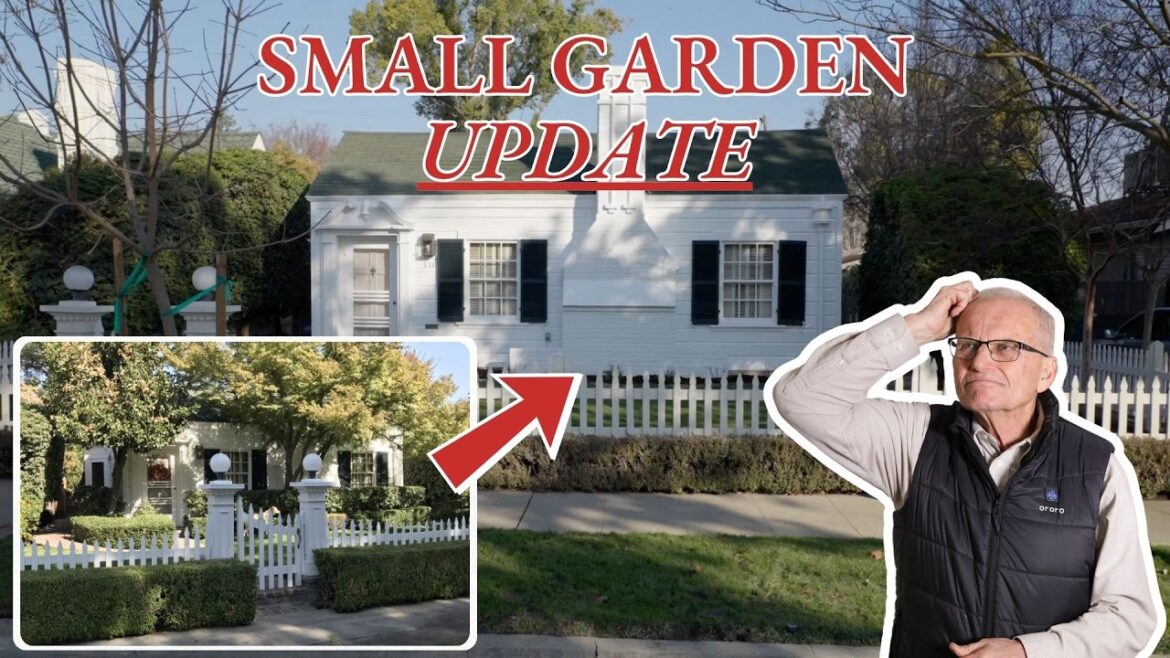 Adding Low Maintenance Curb Appeal to a Small Front Yard Garden