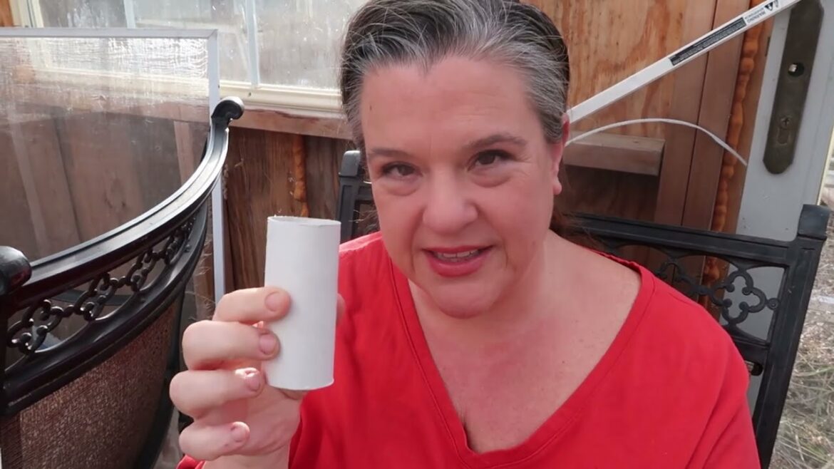 Free seed starting?!?!? | Crooked Row