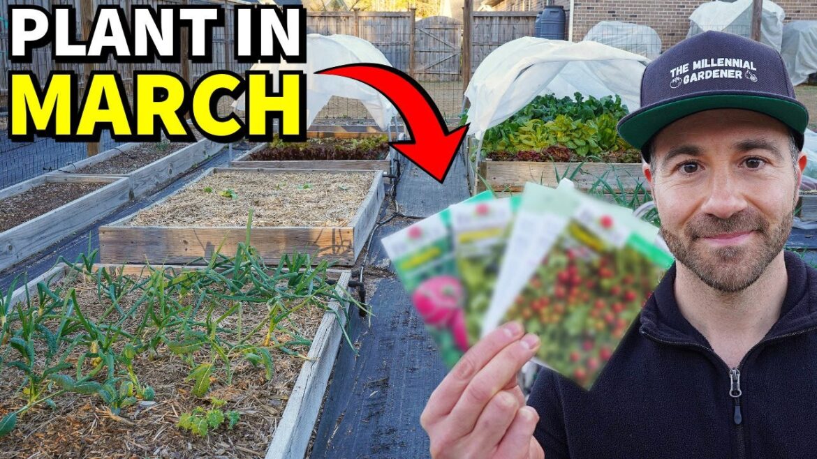 48 Veggies You Can Plant In March RIGHT NOW! 48 Veggies You Can Plant In March RIGHT NOW!