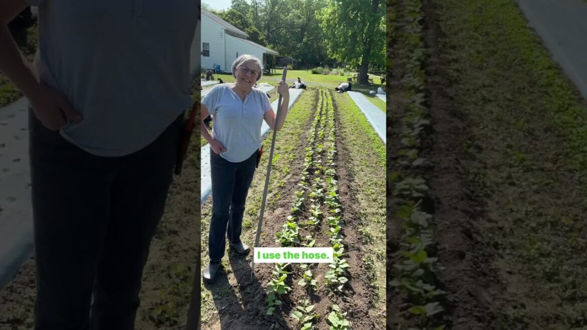 20% off Storewide including tools, seed starting equipment, supplies, seeds, accessories, my books