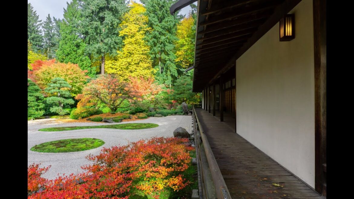 Exploring Japan’s Best Kept Secrets | Volume 1: Japanese Gardens