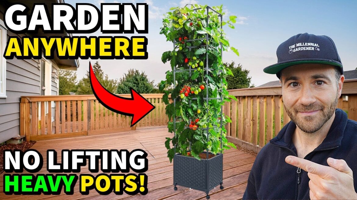 This Innovative New Design Will REVOLUTIONIZE Your Container Garden! This Innovative New Design Will REVOLUTIONIZE Your Container Garden!